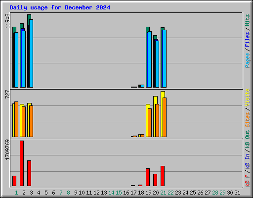 Daily usage for December 2024