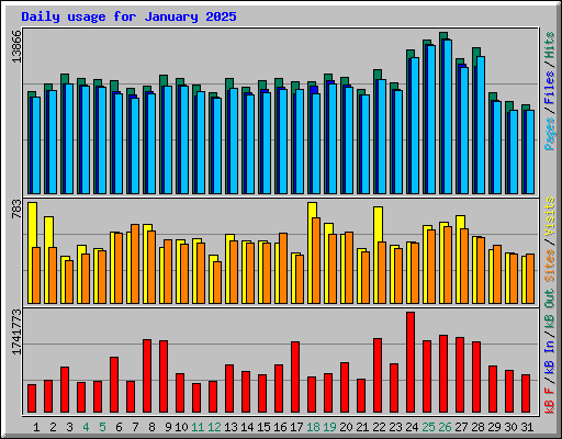 Daily usage for January 2025