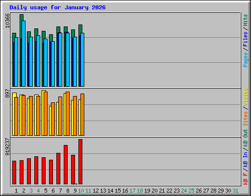 Daily usage for January 2026