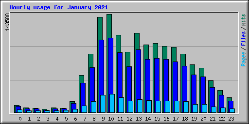Hourly usage for January 2021