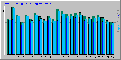 Hourly usage for August 2024