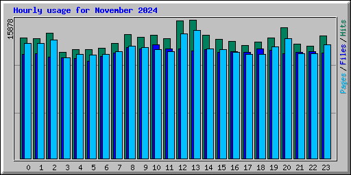 Hourly usage for November 2024