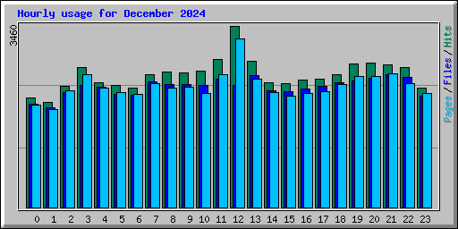 Hourly usage for December 2024