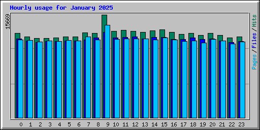 Hourly usage for January 2025