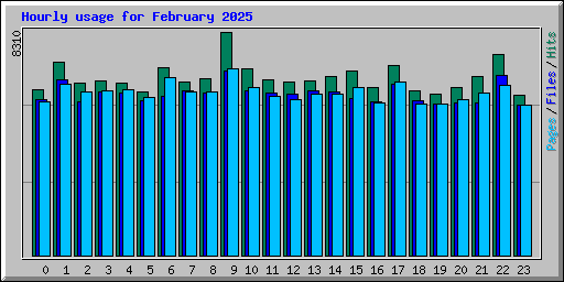 Hourly usage for February 2025