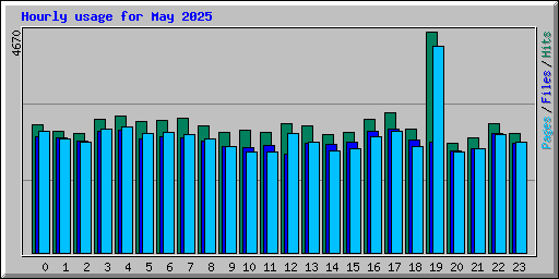 Hourly usage for May 2025
