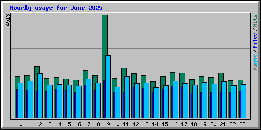 Hourly usage for June 2025