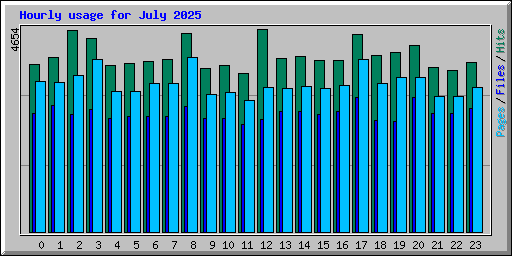 Hourly usage for July 2025