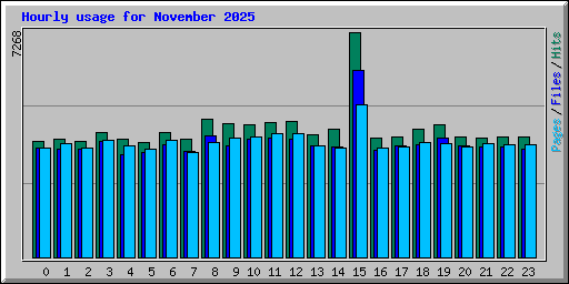 Hourly usage for November 2025