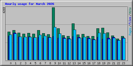 Hourly usage for March 2026